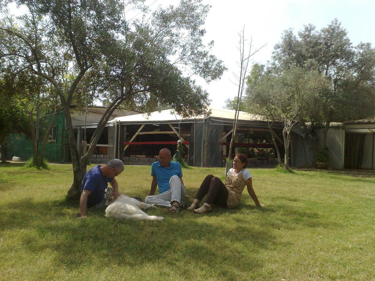 Peace Tent Villa Kfar Rut Kamer foto