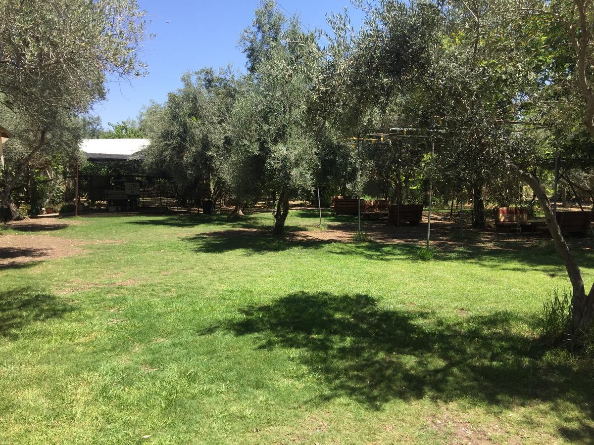 Peace Tent Villa Kfar Rut Buitenkant foto
