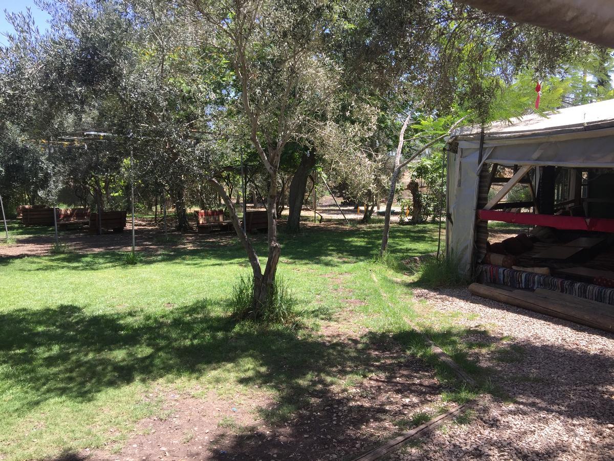 Peace Tent Villa Kfar Rut Buitenkant foto