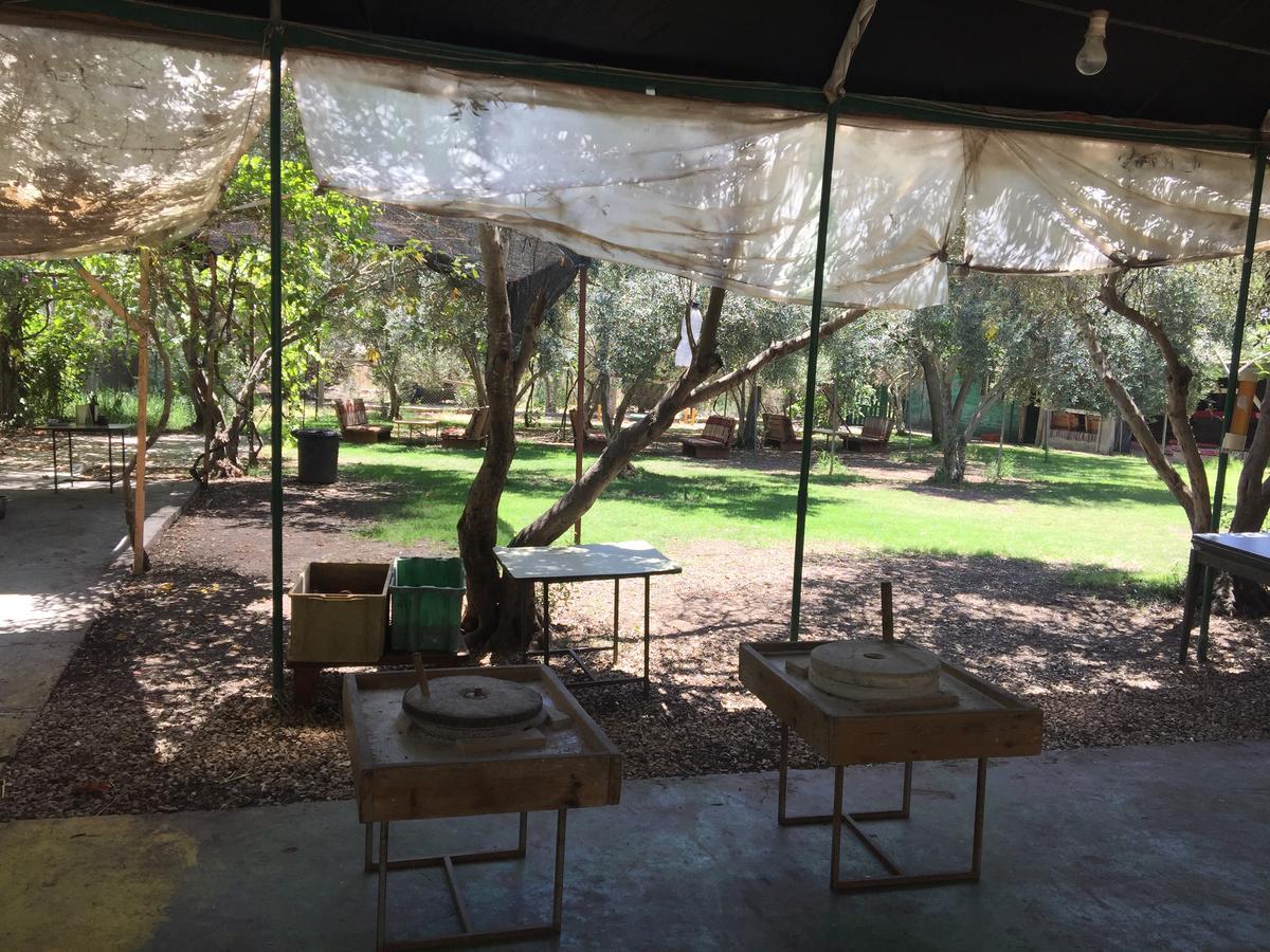 Peace Tent Villa Kfar Rut Buitenkant foto