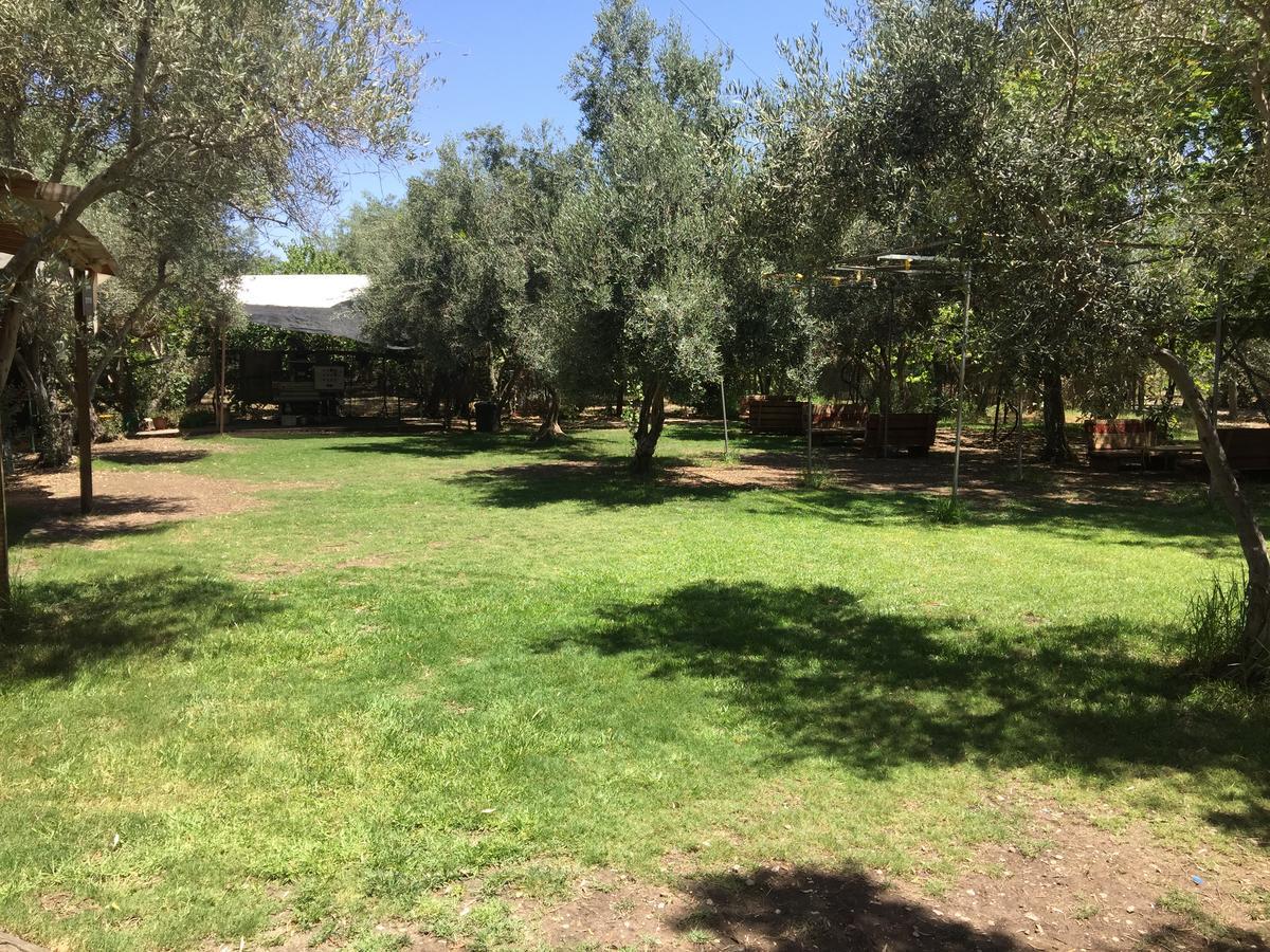Peace Tent Villa Kfar Rut Buitenkant foto