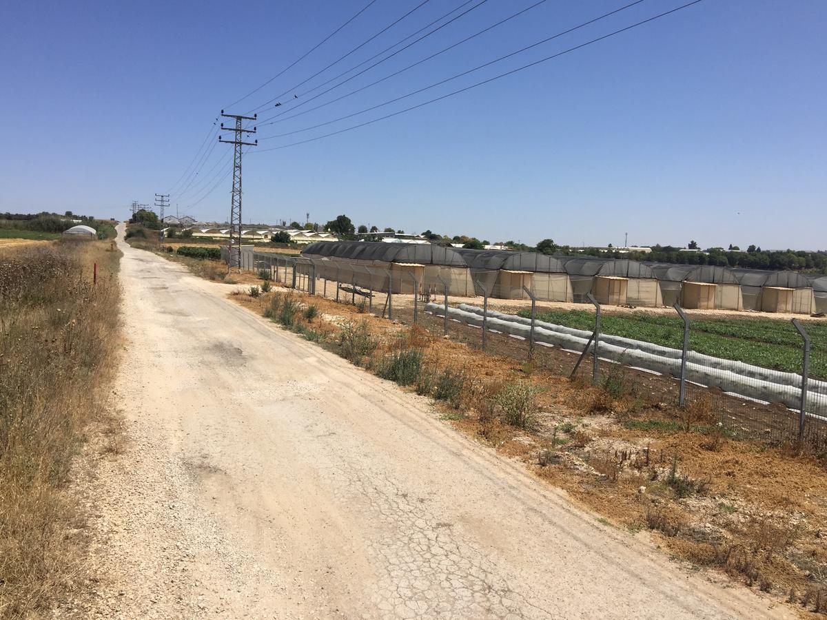 Peace Tent Villa Kfar Rut Buitenkant foto